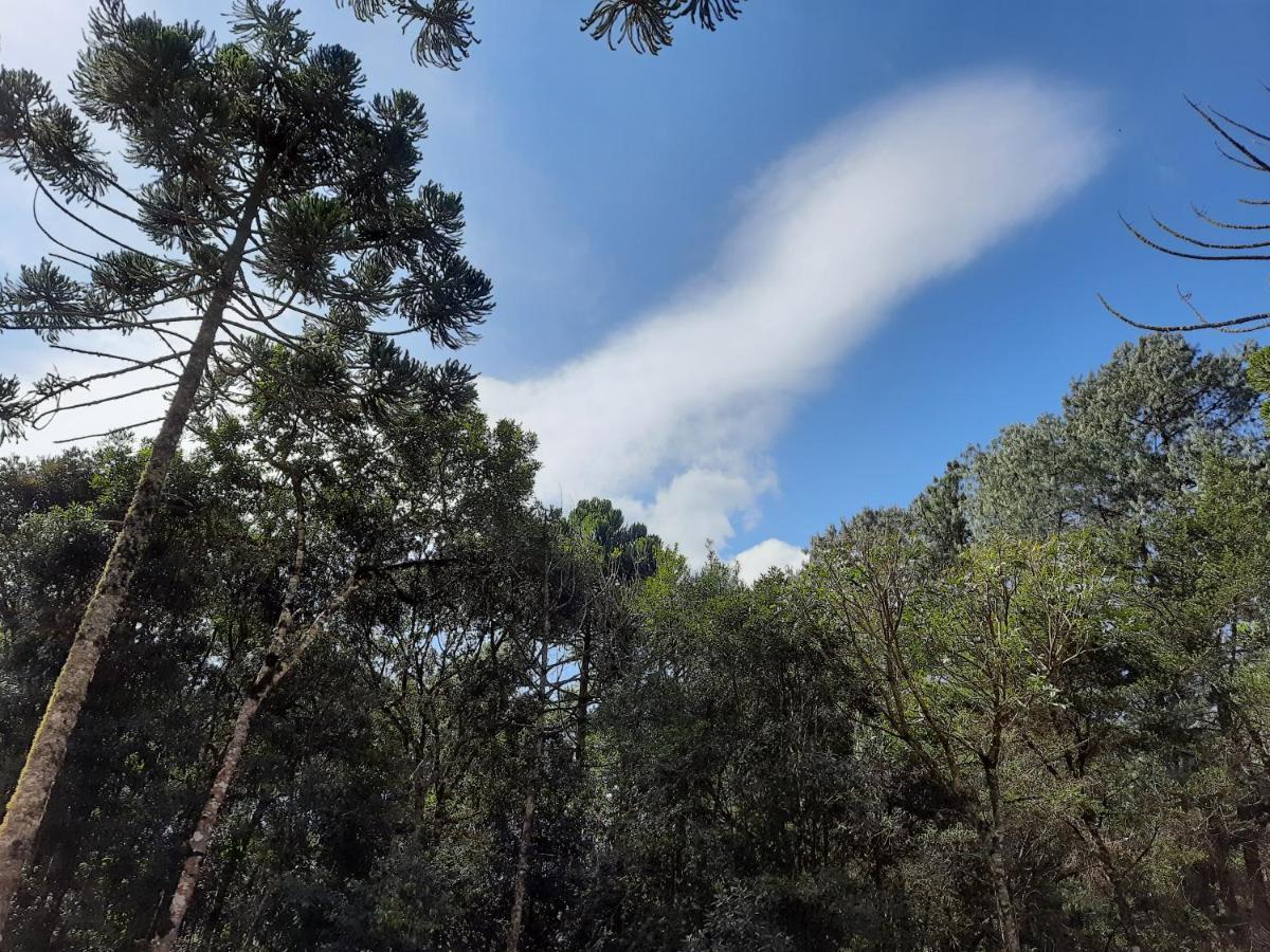 Pousada Bruxa Marela Monte Verde  Bagian luar foto